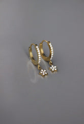 Argolas Starly Night