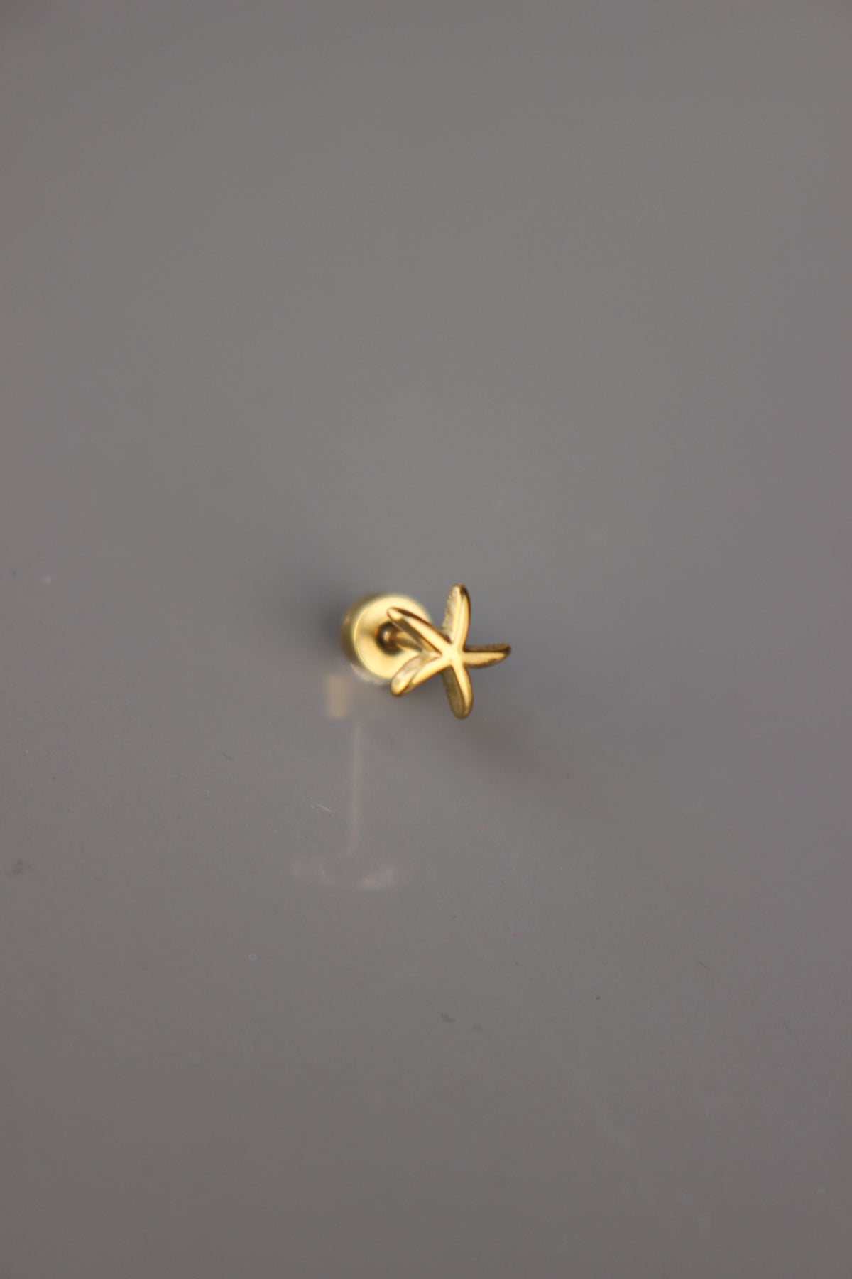 Brinco Mini Starfish