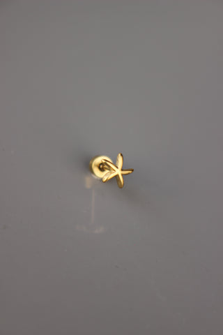 Brinco Mini Starfish