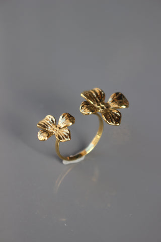 Anel Flowering