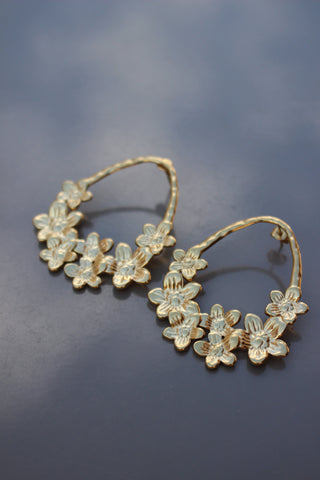 Brincos Simple Flueri