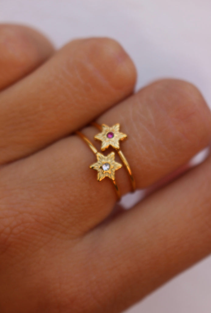 Anel Starly