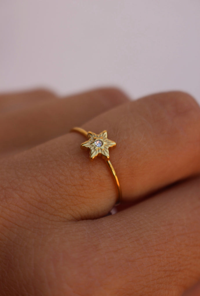 Anel Starly