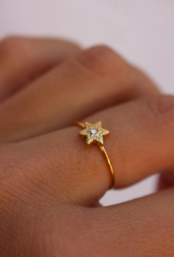 Anel Starly
